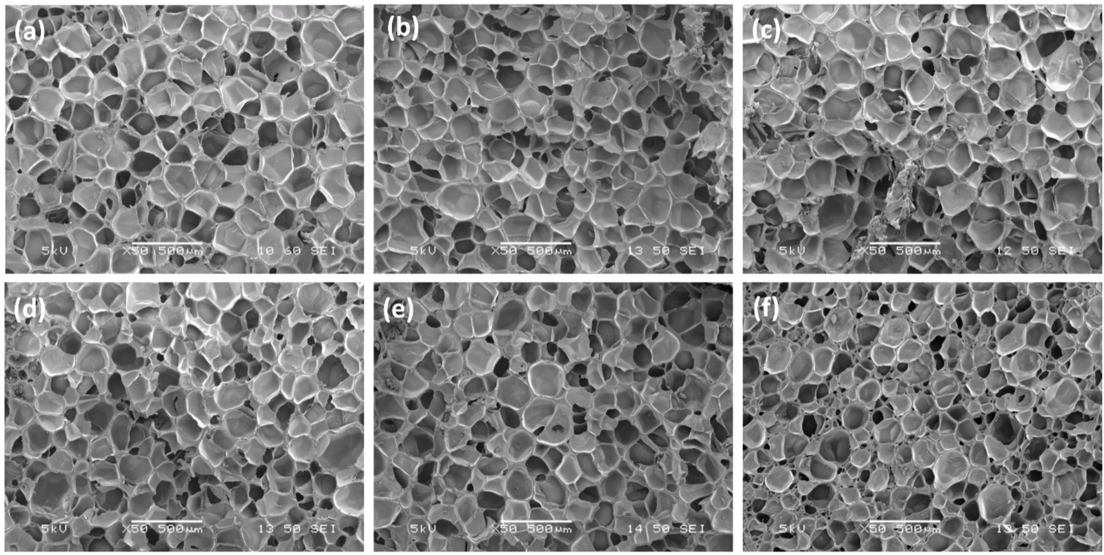 Open-access SEM microscopy source figure showing cellular EVA foam morphology