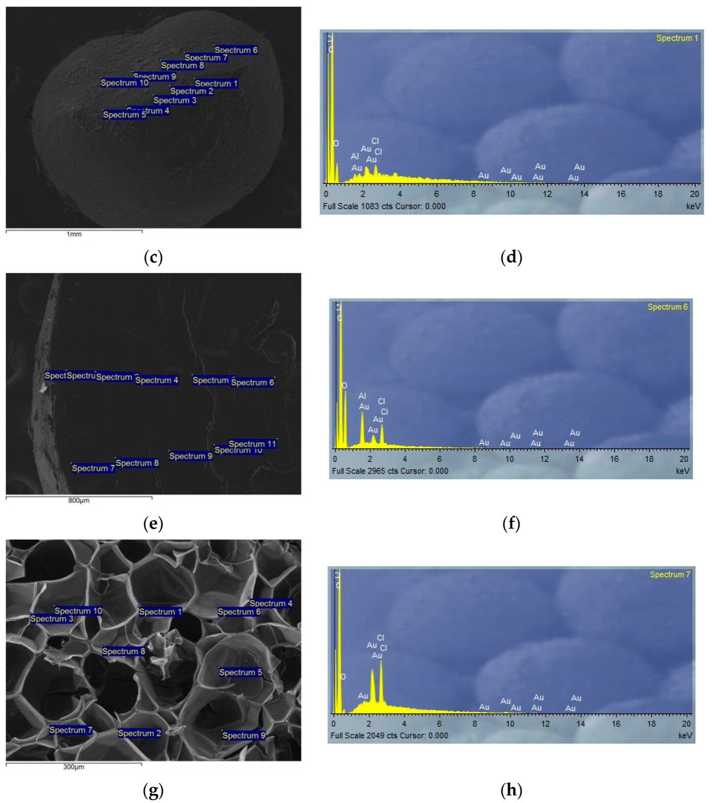 Open-access SEM microscopy source figure showing cellular PEBA polymer foam morphology