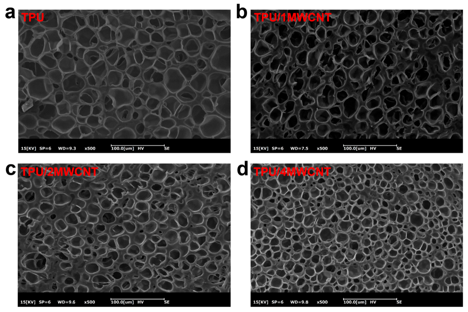 Open-access SEM microscopy source figure showing cellular TPU foam morphology